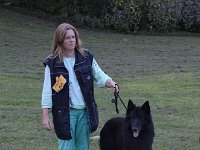 01a BestVetGR Amon Royal vom Raesfeldeer Marienthal
